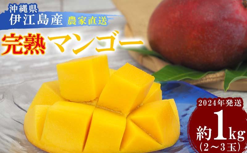 出所：ふるさとチョイス 【2024年発送】沖縄県伊江島産　農家直送「完熟マンゴー」約1kg(2～3玉)