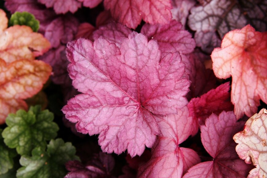 Gratysanna/istockphoto.com