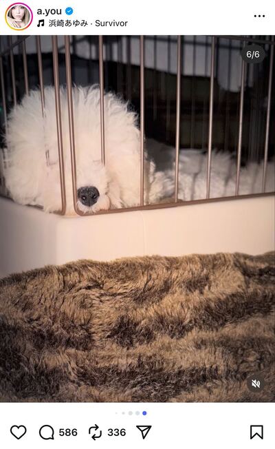 出所：浜崎あゆみのInstagram（＠a.you）参照日：2025年12月16日