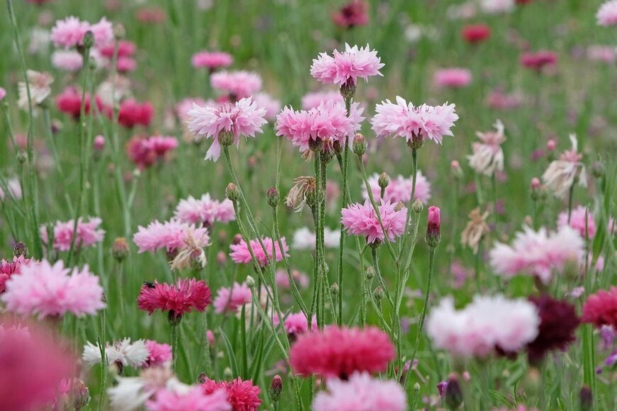 Alex Manders/istockphoto.com