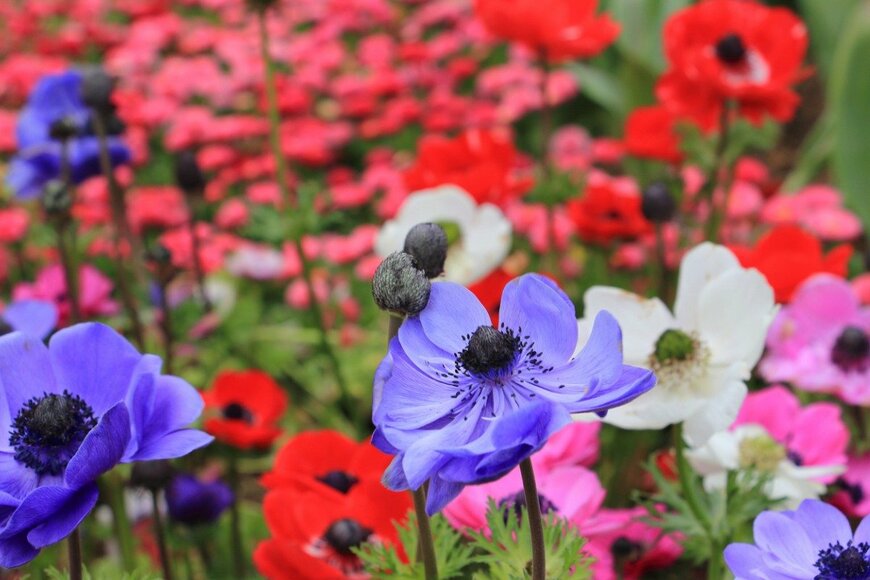 aphichetc/istockphoto.com