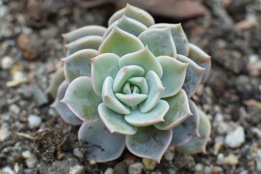 Arkadivna/istockphoto.com