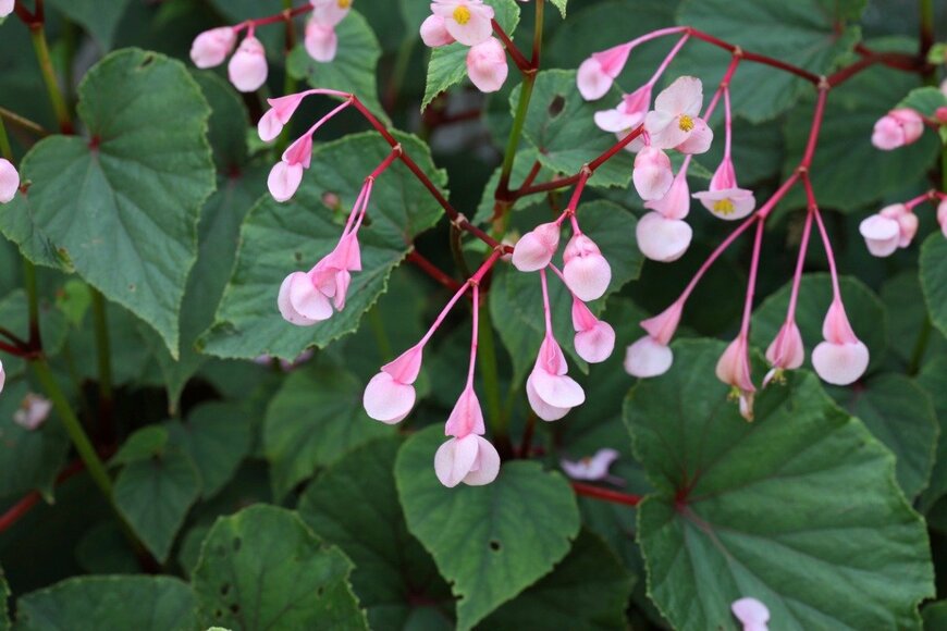 NajaShots/istockphoto.com