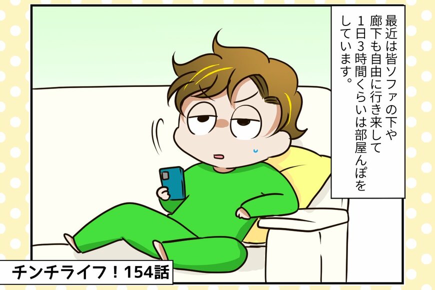 チンチライフ154話！チンチラの福くんは段ボール箱で遊びたい？福くんを襲った悲劇とは