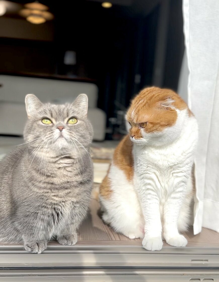 出所：@himaritomugi