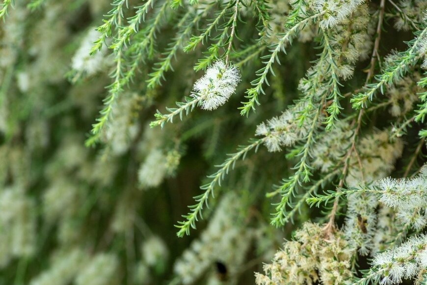 daniele russo/istockphoto.com