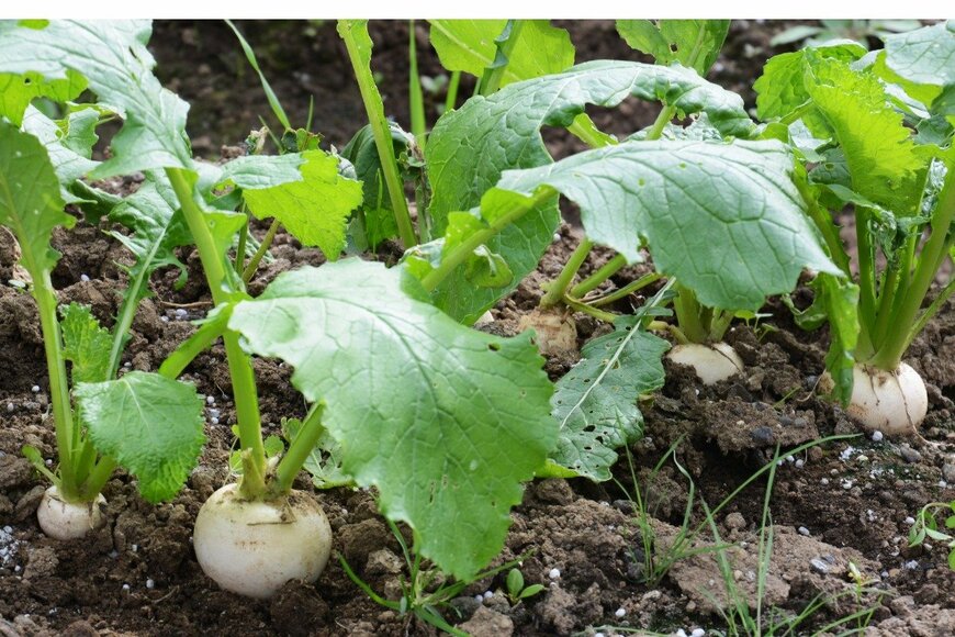 undefined undefined/istockphoto.com