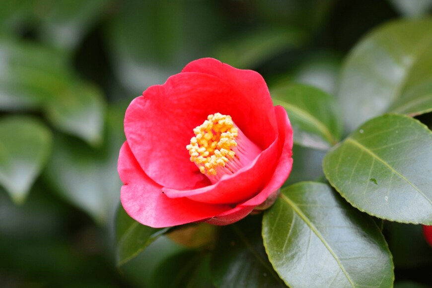 Johnwood Kim/istockphoto.com