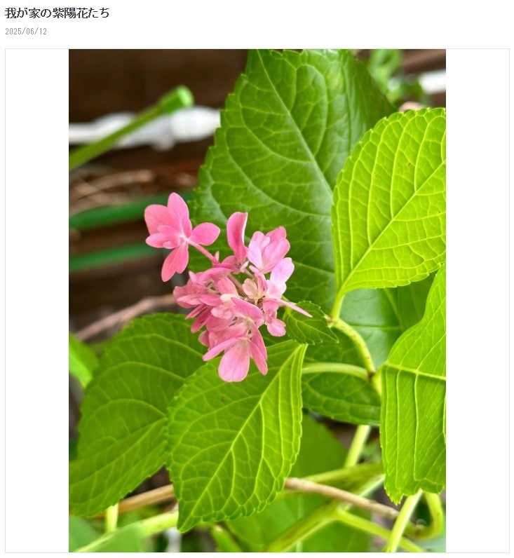 出所：研ナオコのAmebaブログ　参照日：2025年6月18日