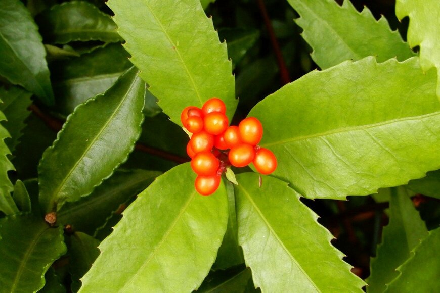 Obsidian_mk/istockphoto.com