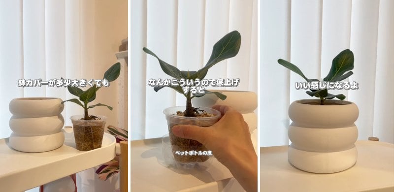 投稿の画像