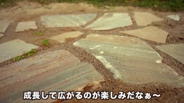 投稿動画のワンシーン