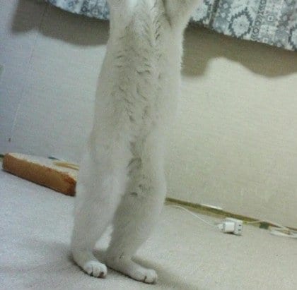 投稿の画像