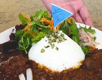 大阪府の道の駅で味わう「激旨カレー」！名勝・棚田を再現したグルメに「天を仰ぐおいしさ」「ペロリだわ」