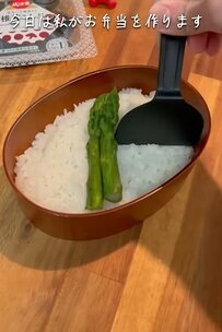 【妻の代わりに作るお弁当】へらで綺麗に入れたそぼろやシャケフレークが美しい！彩りも豊かで美味しそう！