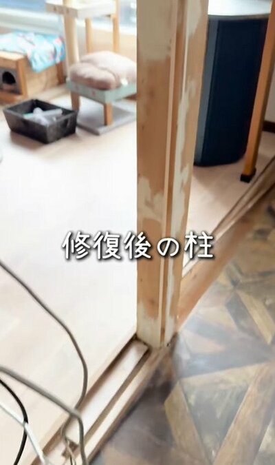 変身前の柱