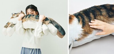 株式会社フェリシモ、世界級の大きさ！？　メインクーンのもふもふダイカット抱きぐるみ商品画像
