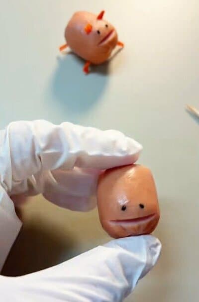 投稿の画像