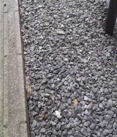 投稿の画像