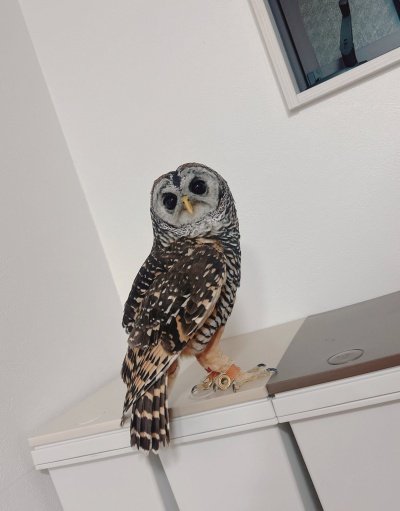 投稿写真のワンシーン