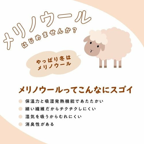 レディースメリノウール100長袖クルーネック