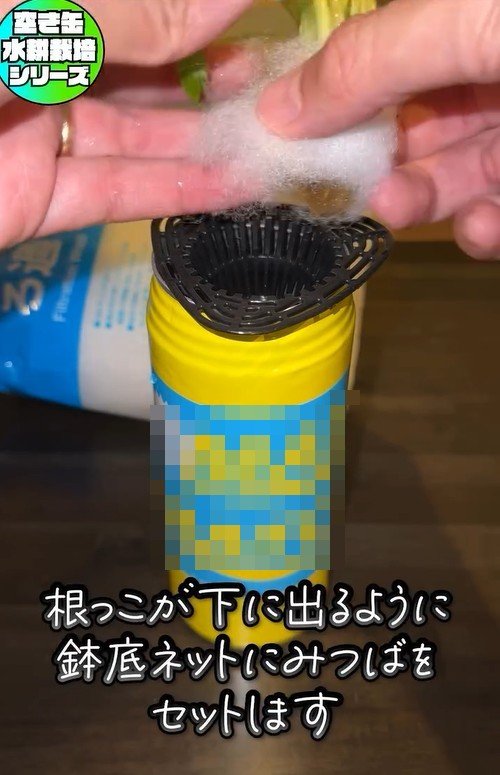 出所：@mikanbo_ya19_87