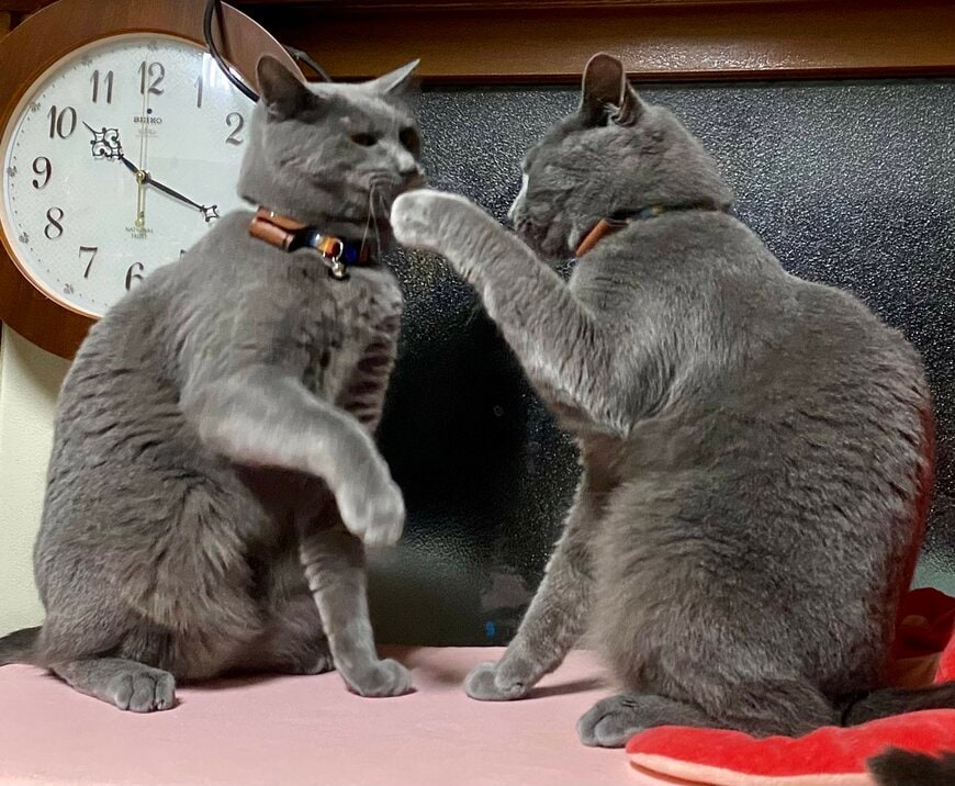 出所：@luna7taka9