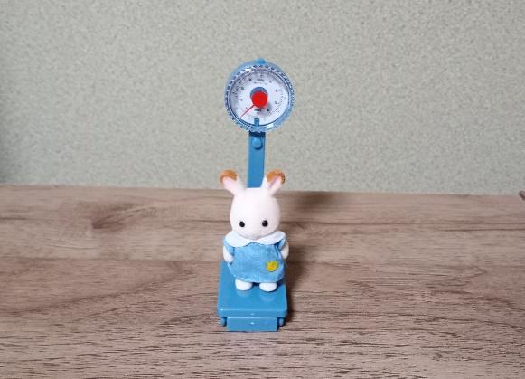 筆者撮影（セリア、ミニチュア体重計）