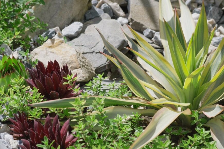 MEDIAIMAG/shutterstock.com