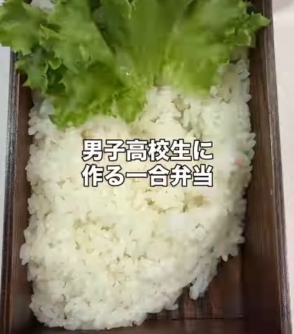 【高校生の息子におくる誕生日弁当】「産まれてきてくれてありがとう」ハンバーグがどーんとのった母の一合弁当に胸が熱くなる