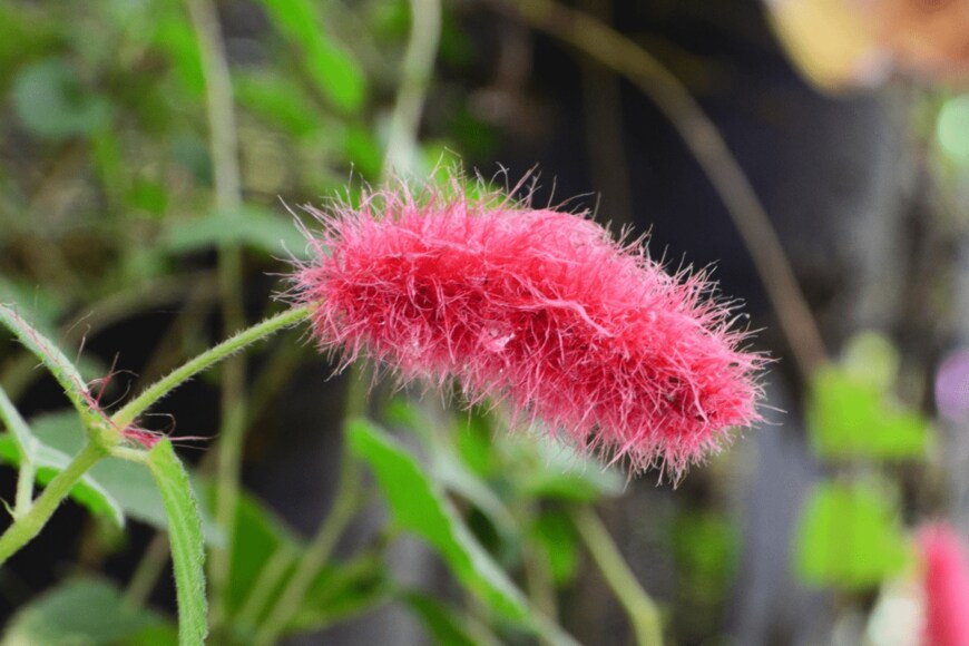 wahid hasyim asyari/istockphoto.com