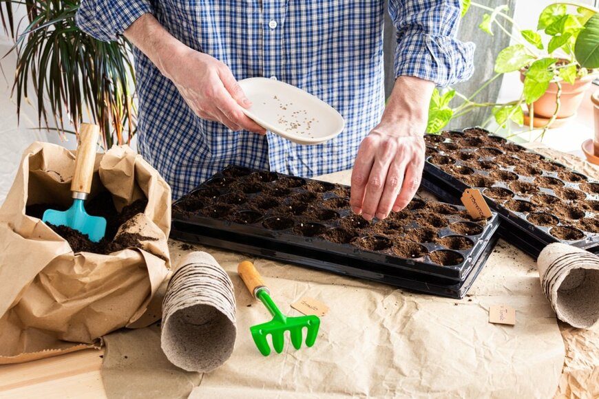 pundapanda/shutterstock.com