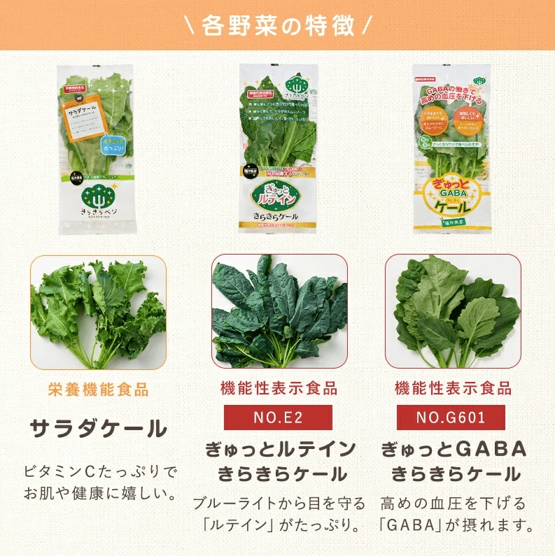 出所：日本山村硝子株式会社