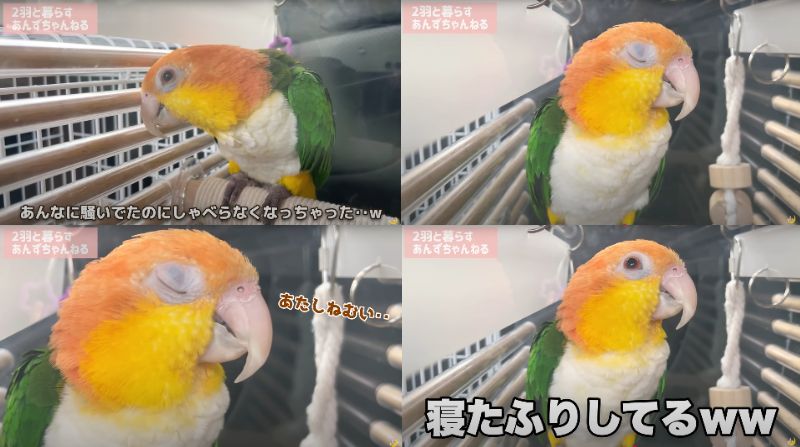 出所：@anz_omomiri