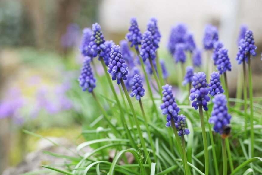 Dalzaca/istockphoto.com