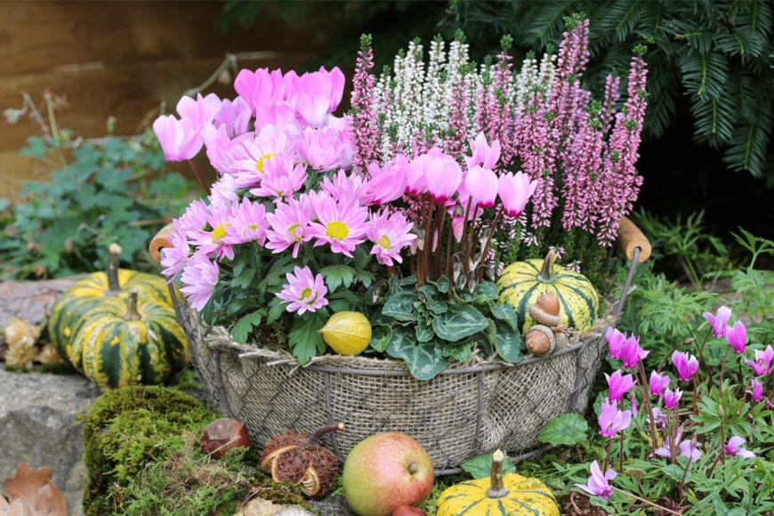 Natalia Greeske/istockphoto.com