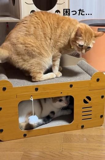 出所：@karintoteacher