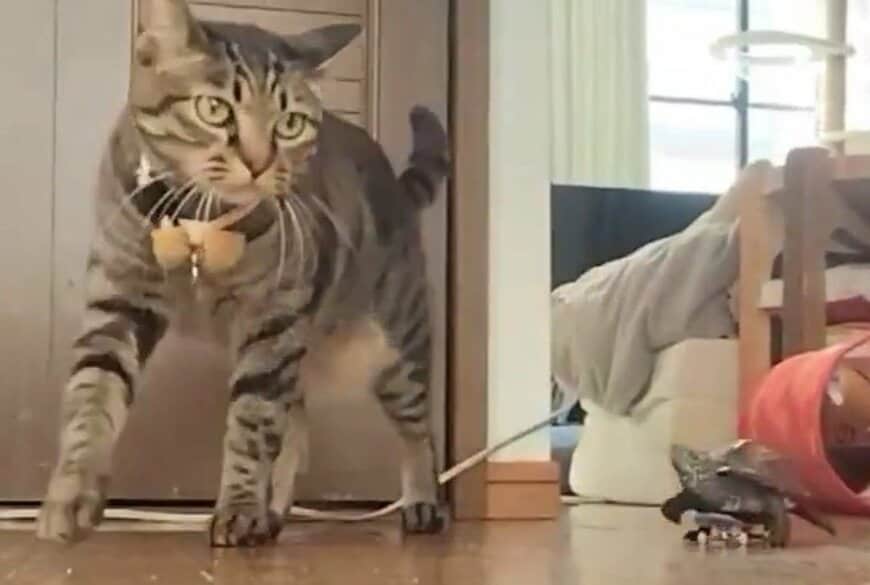 出所：@Mh0MLiErcV8E97C