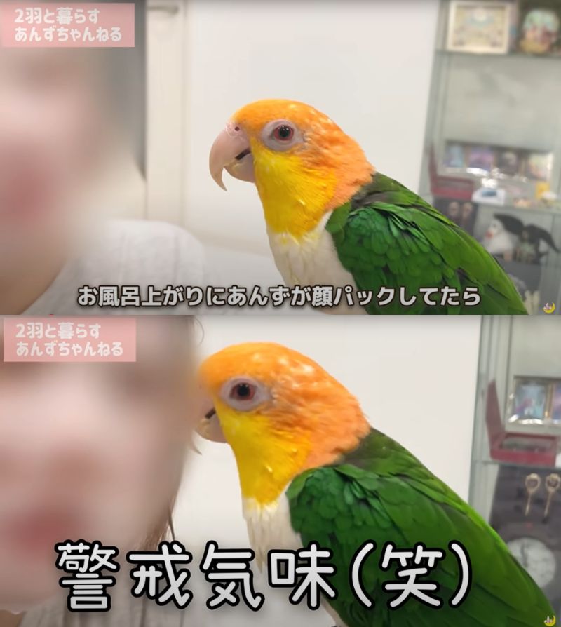 出所：@anz_omomiri