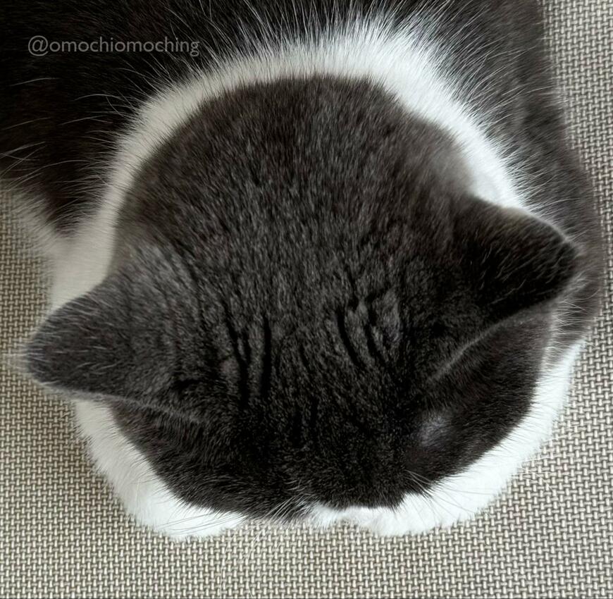 出所：@omochiomoching