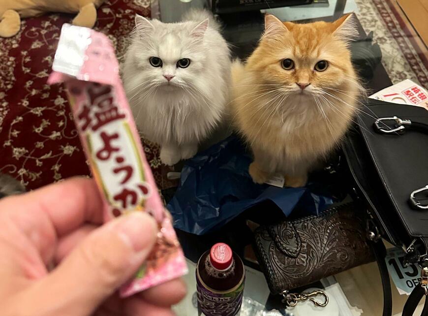 出所：@NEKOLAND13