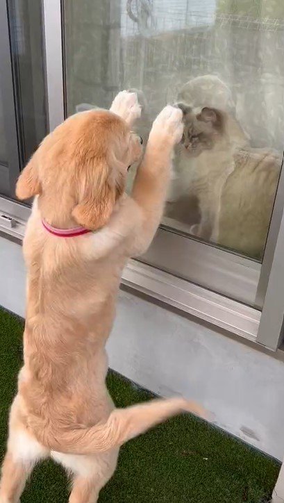 出所：@pu_channeldesu