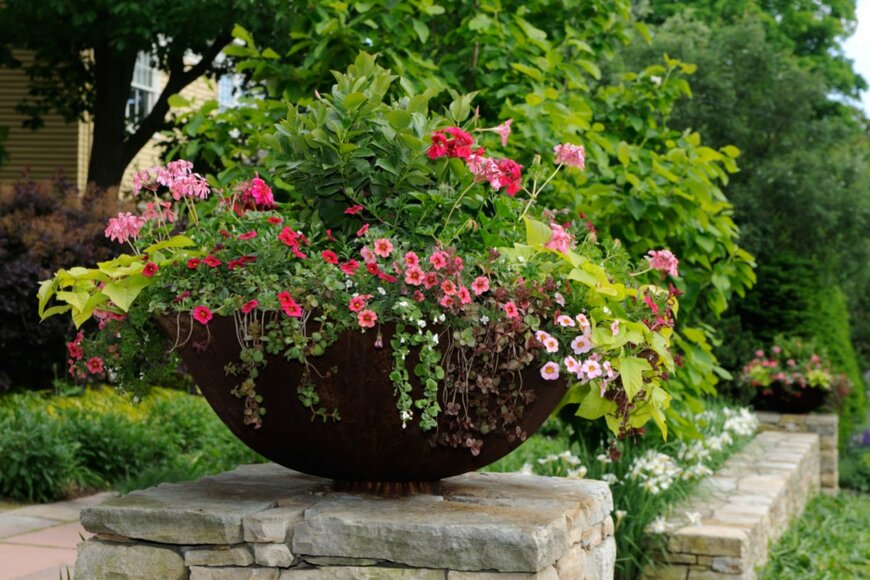 Jorge Salcedo/shutterstock.com