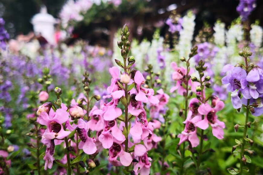 Omkoi/Shutterstock.com