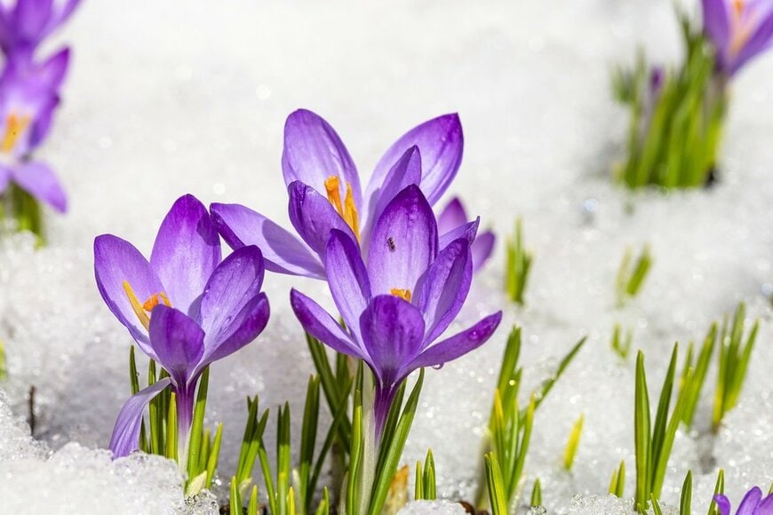 irina02/shutterstock.com