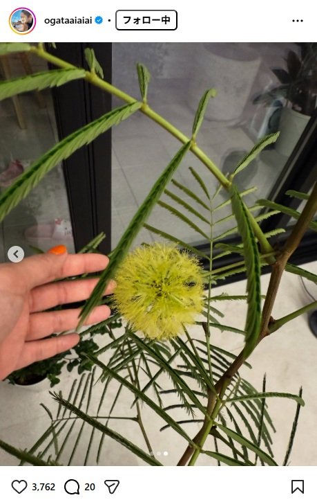 出所：尾形あいのInstagram（＠ogataaiaiai）　参照日：2025年11月17日