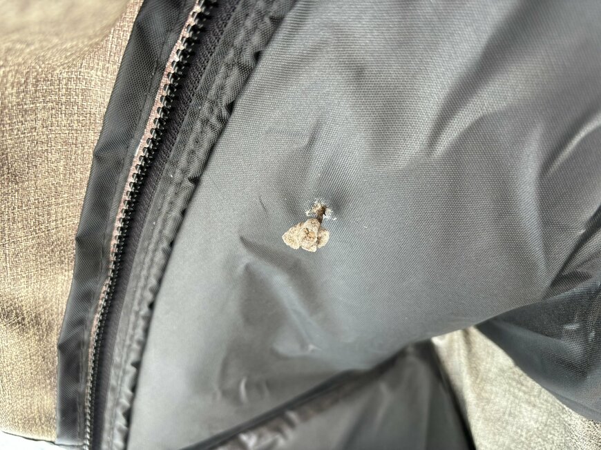 出所：@ririri__21