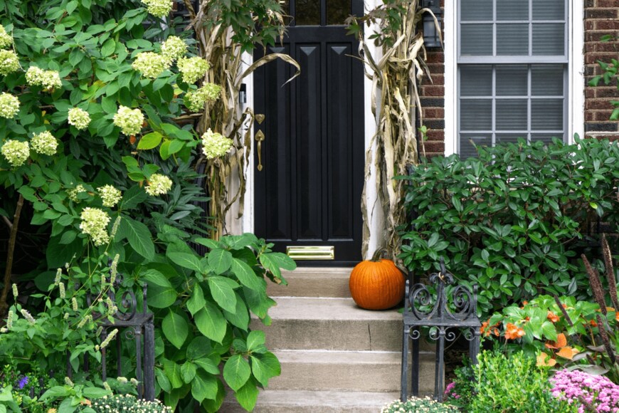 Renata Tyburczy/istockphoto.com