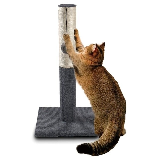 画像出所：ニトリ公式通販 ニトリネット