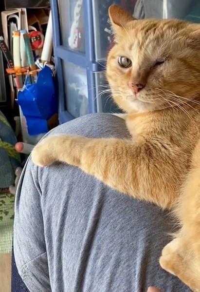 出所：@luna7taka9